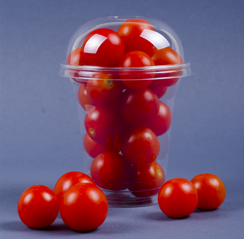 PET for Packaging Materials